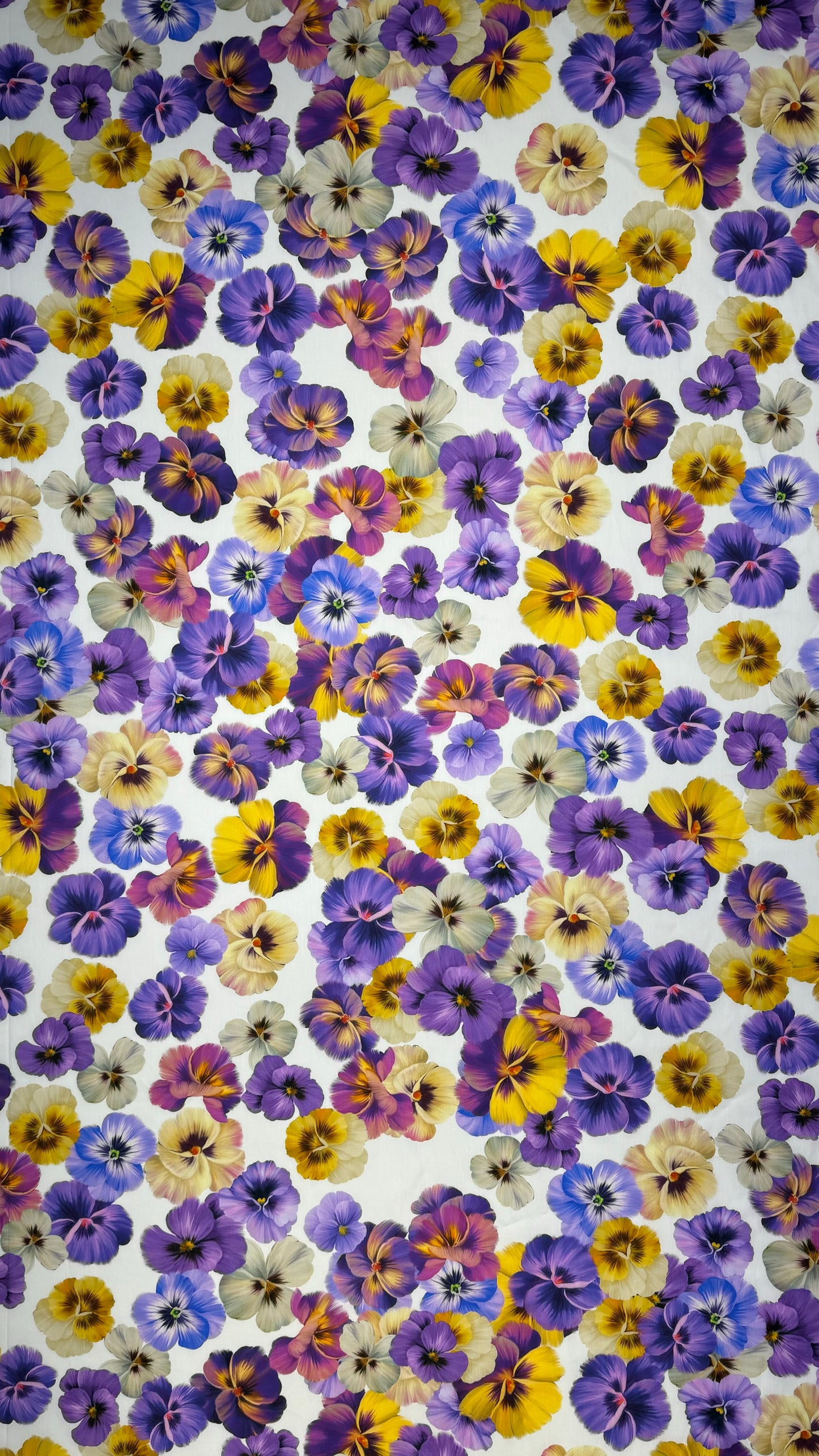 IT-CP12 | قطن بوبلين إيطالي