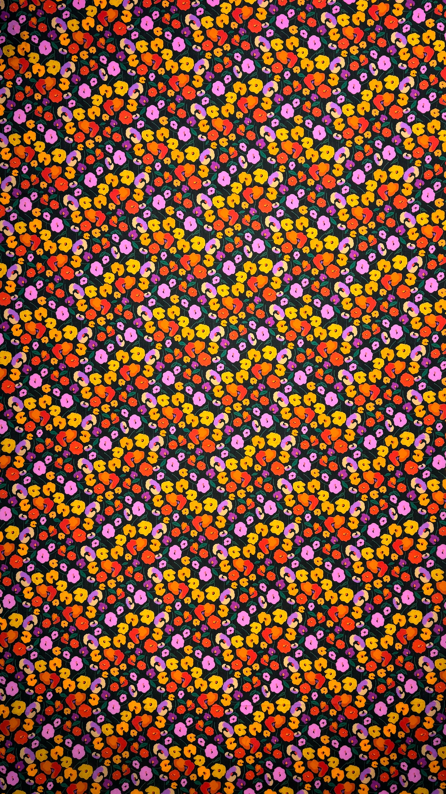 EN-CA11| قطن كوين لاون إنجليزي