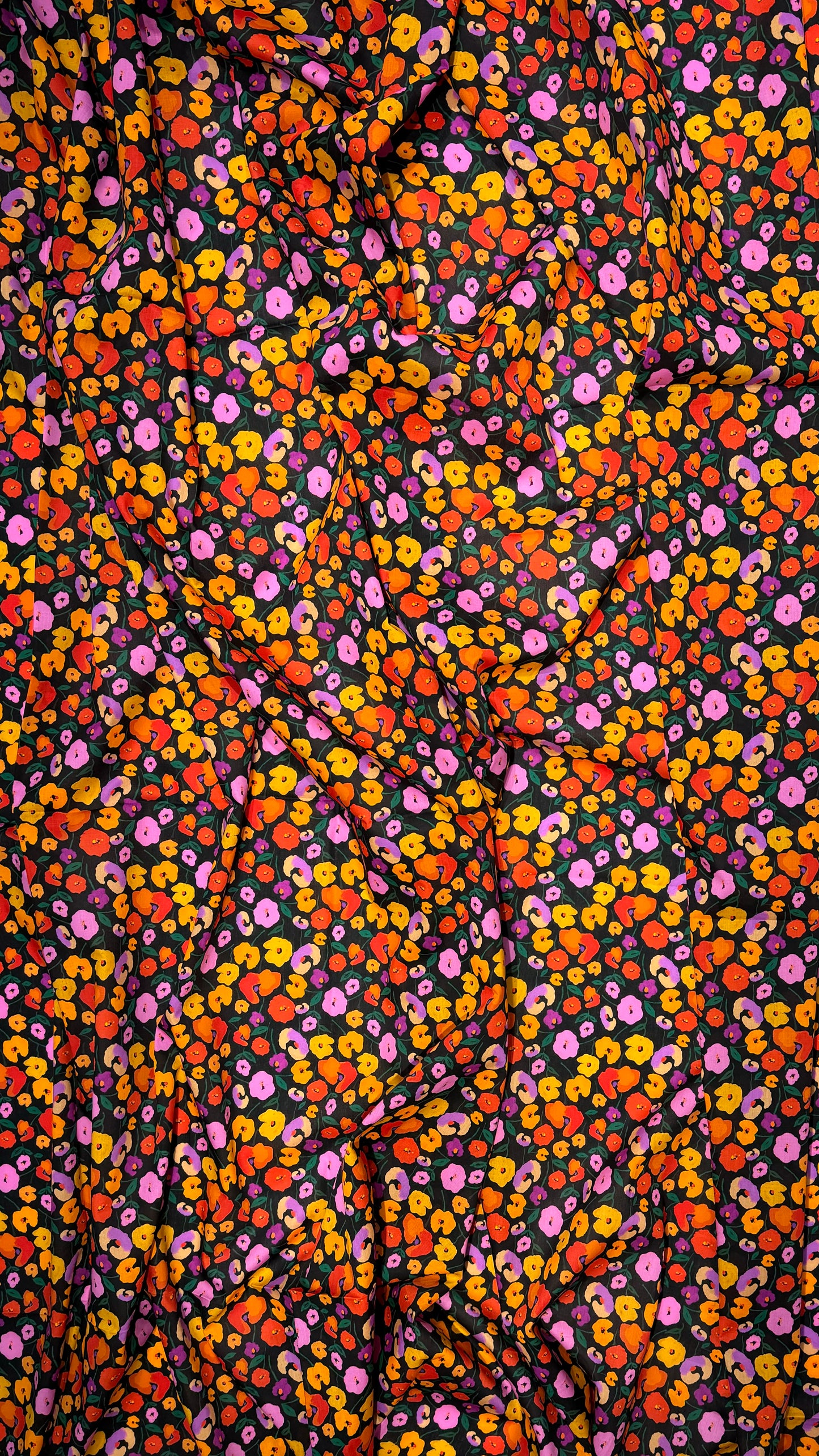 EN-CA11| قطن كوين لاون إنجليزي