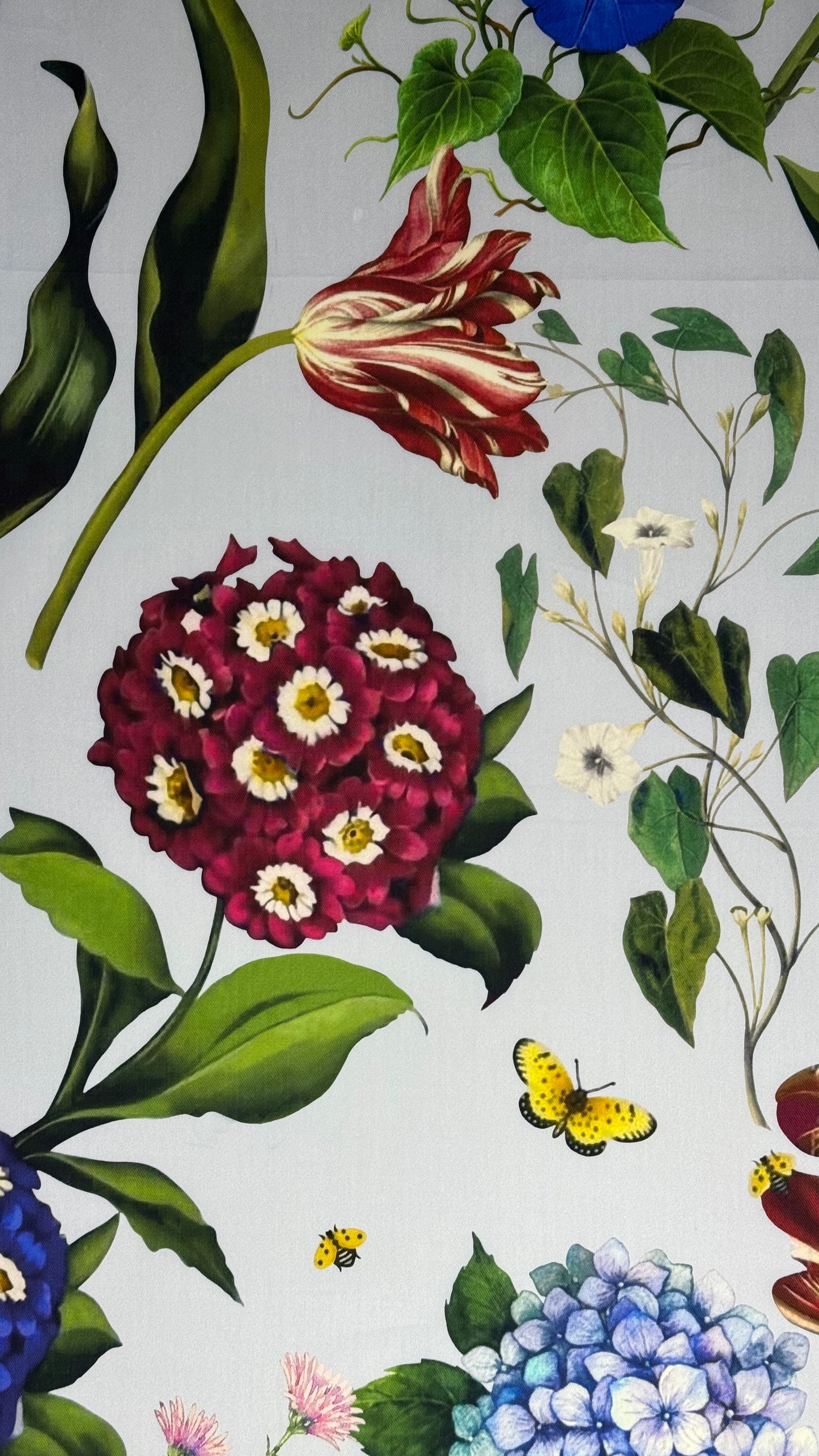 IT-CT 1|  قطن تويل إيطالي