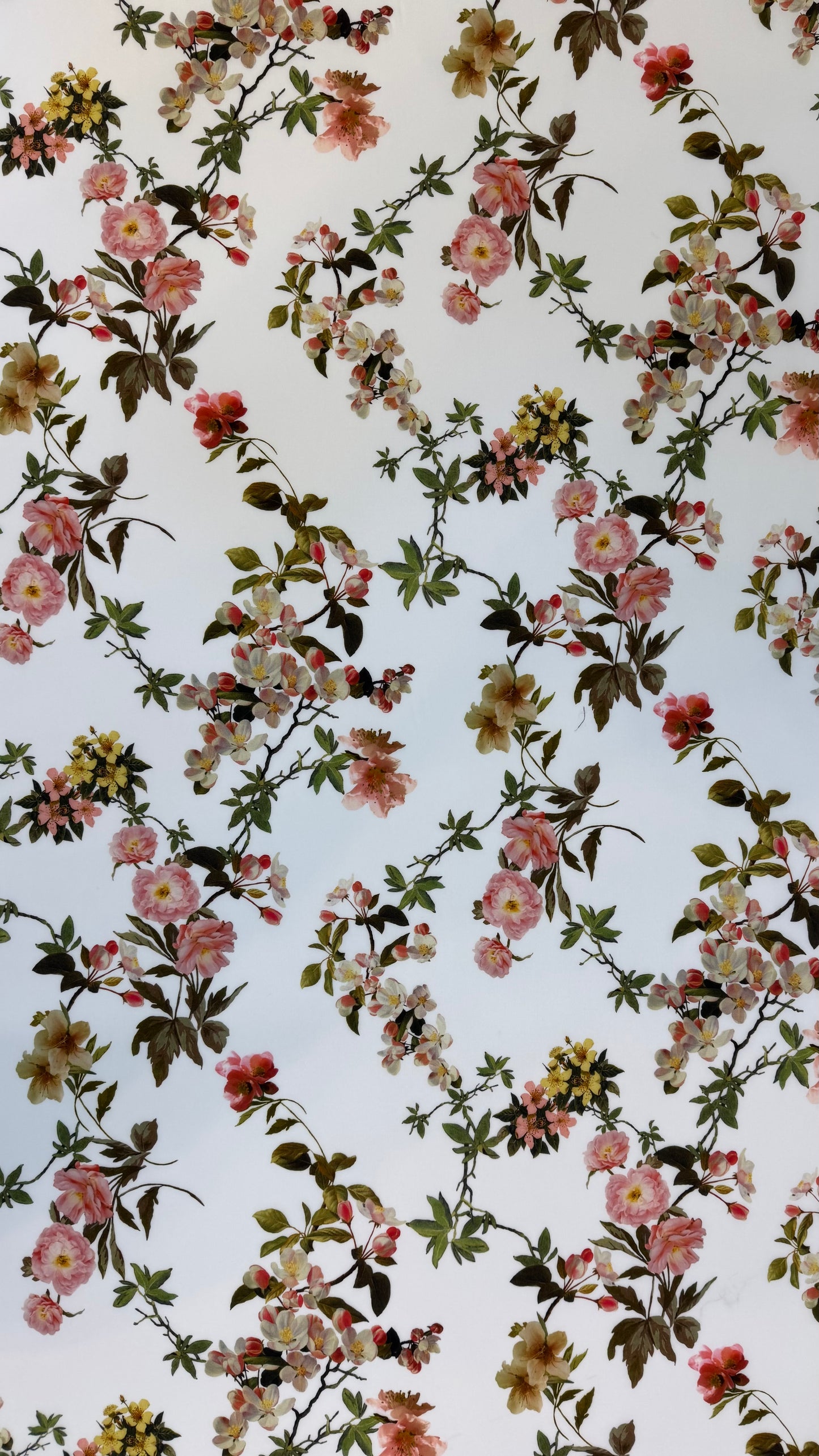 IT-SC27| حرير كريب دكشيني إيطالي