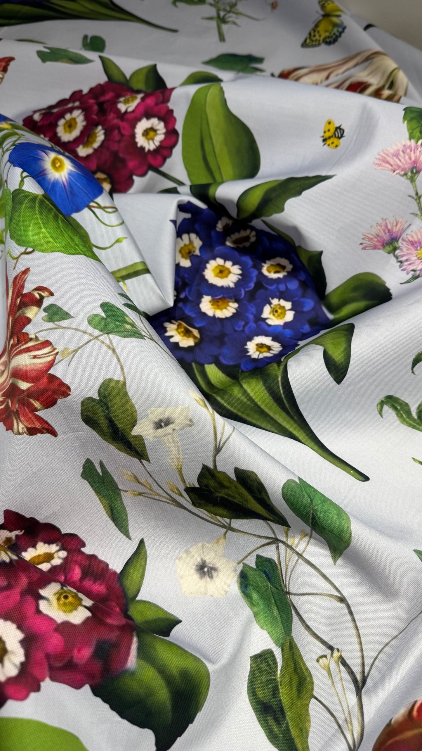 IT-CT 1|  قطن تويل إيطالي