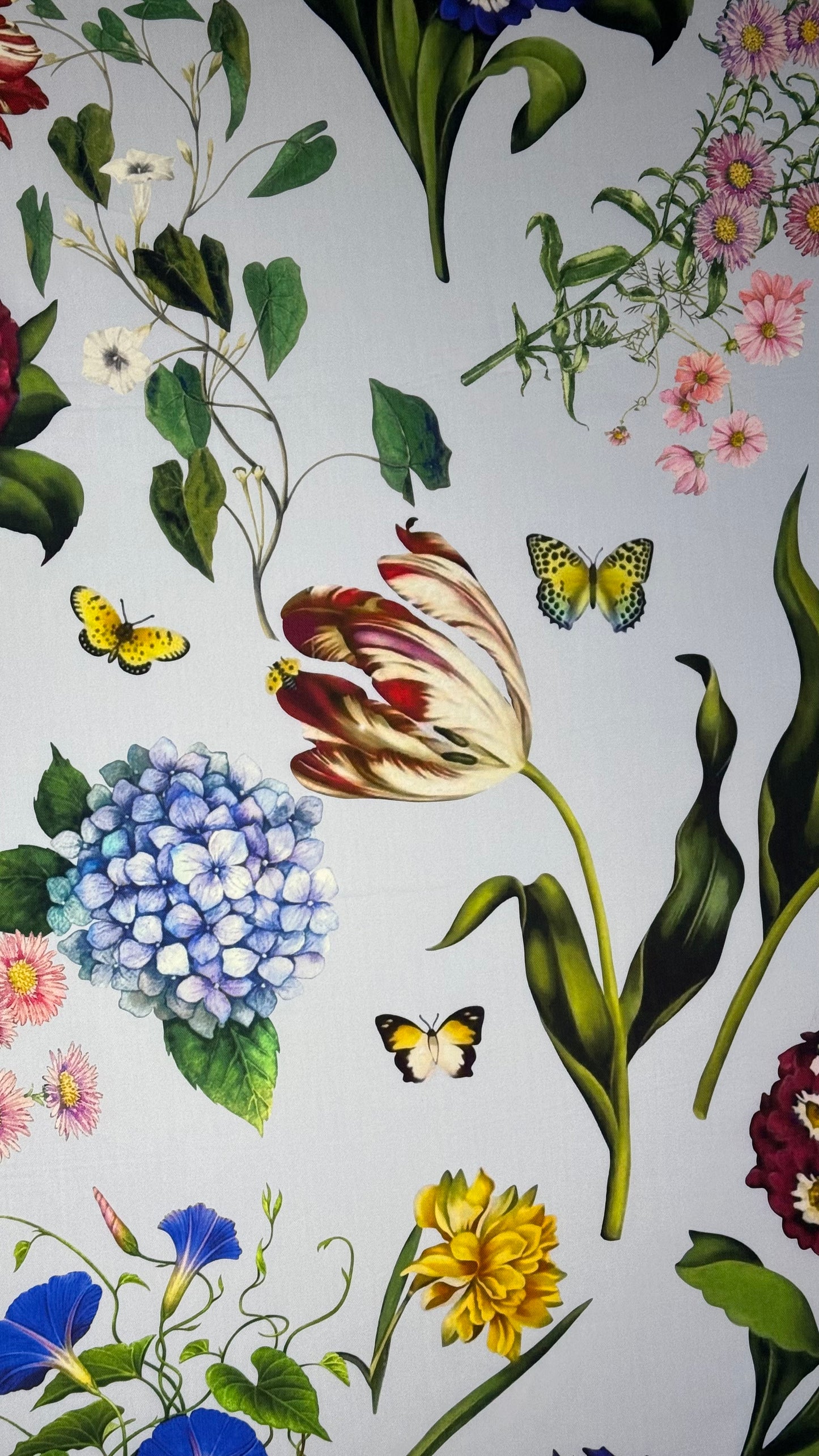 IT-CT 1|  قطن تويل إيطالي