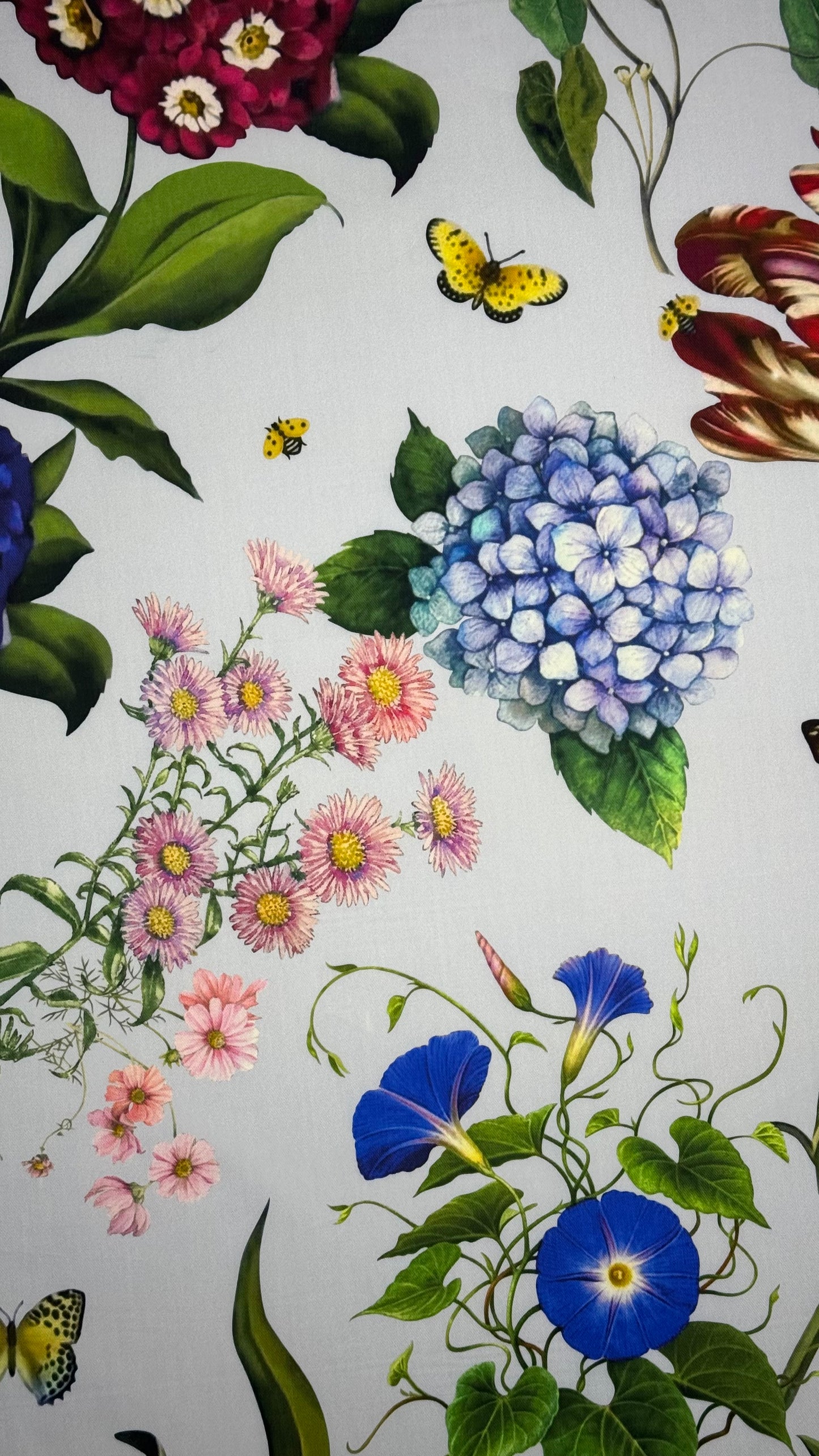 IT-CT 1|  قطن تويل إيطالي