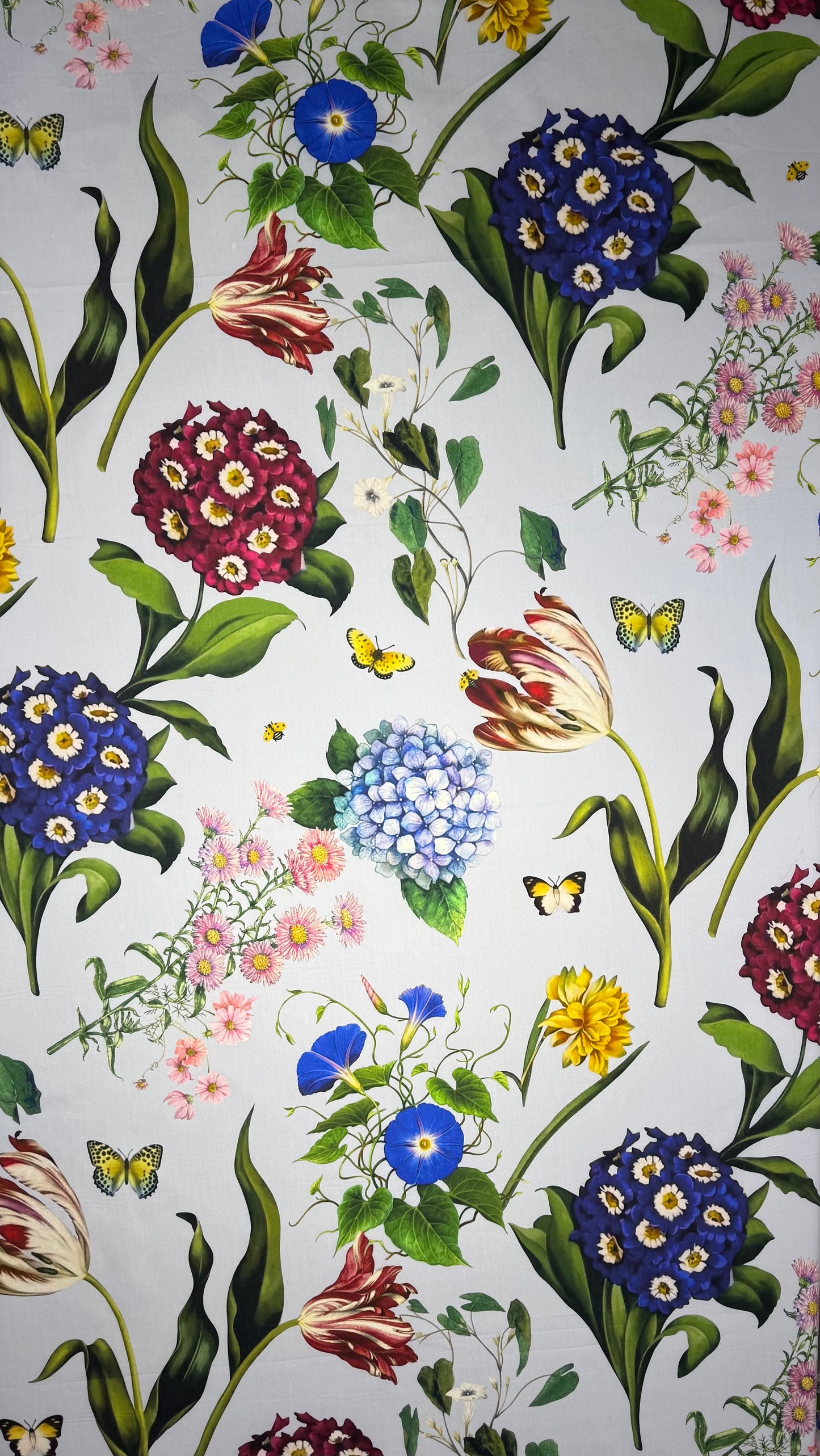 IT-CT 1|  قطن تويل إيطالي