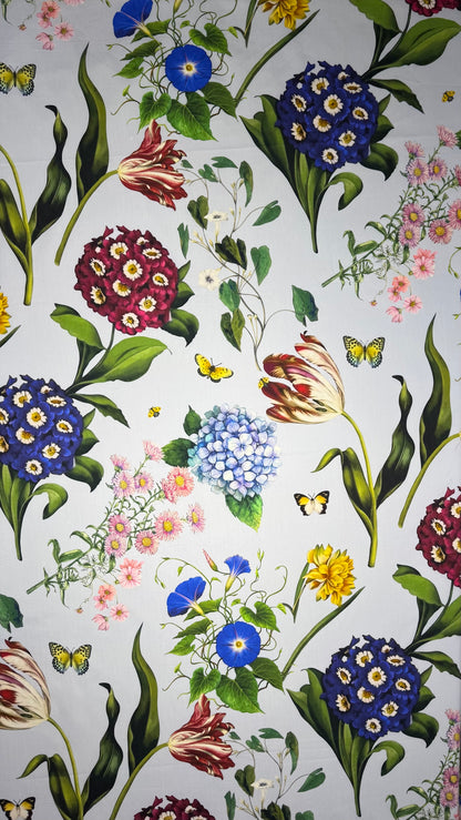 IT-CT 1|  قطن تويل إيطالي